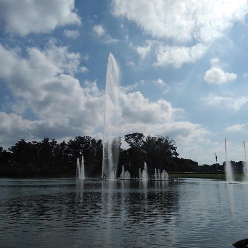 Photo #4662691