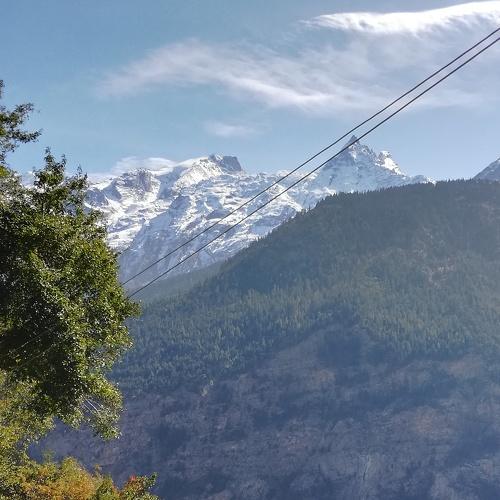 Photo #4662988
