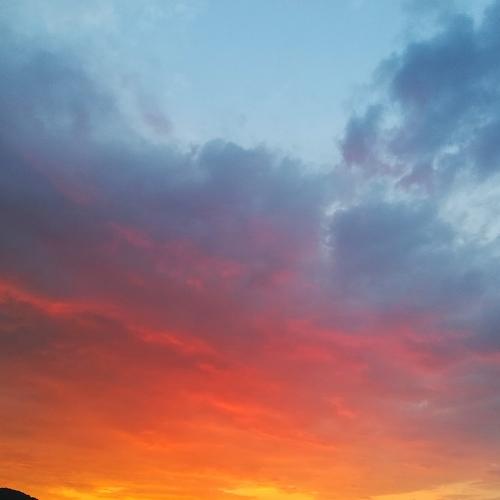 Photo #4663009