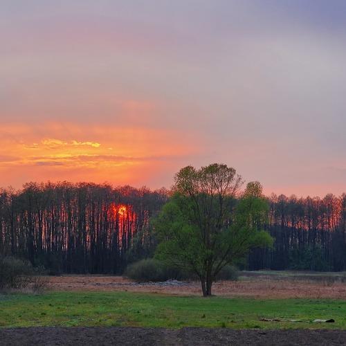 Photo #4663019