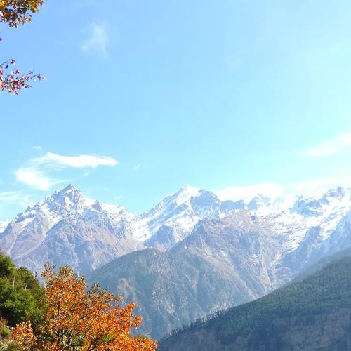 Photo #4663027