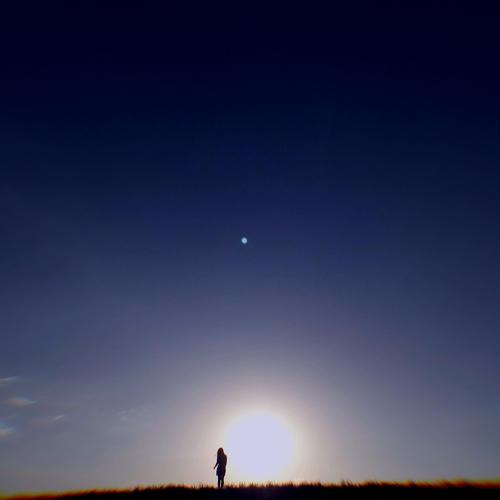 Photo #4663413