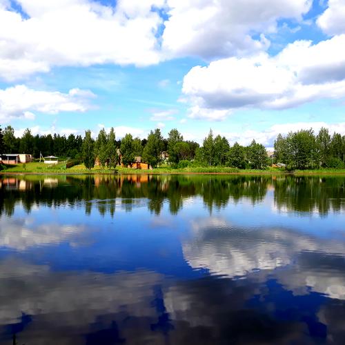 Photo #4663415