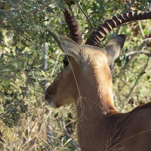 Photo #4663461