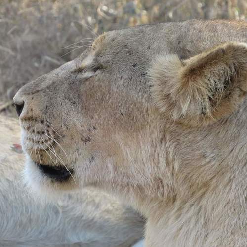 Photo #4663462