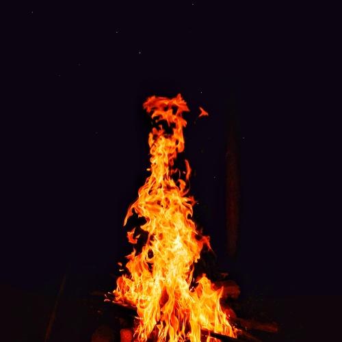 Photo #4663541