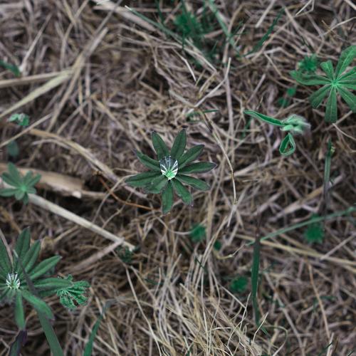 Photo #4663841