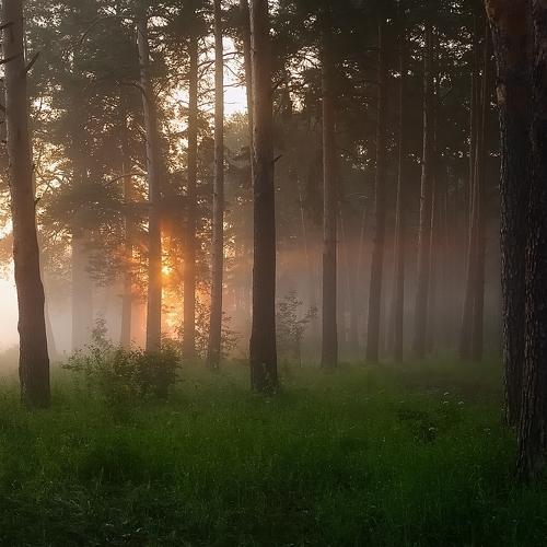 Photo #4664383