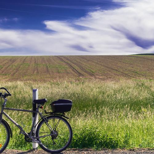 Bicycle in the Farm