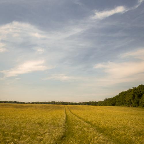Photo #4665063