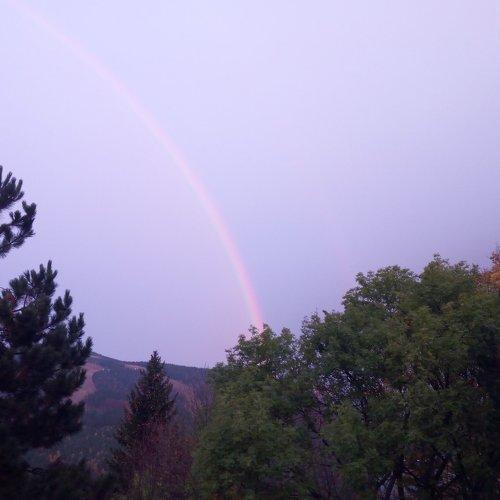 Photo #4665111