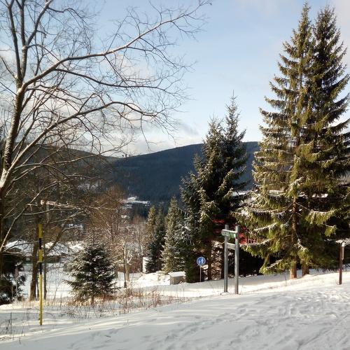 Photo #4665125