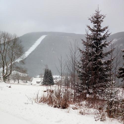 Photo #4665128