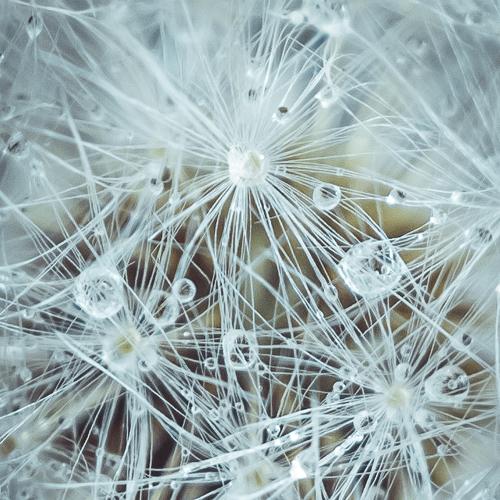 Photo #4665175