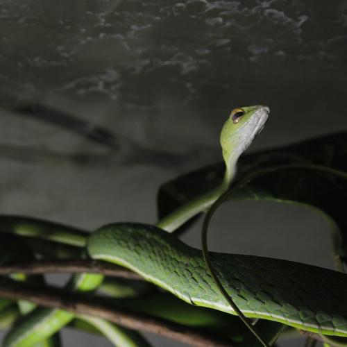 Photo #4665316