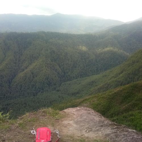 Photo #4665424