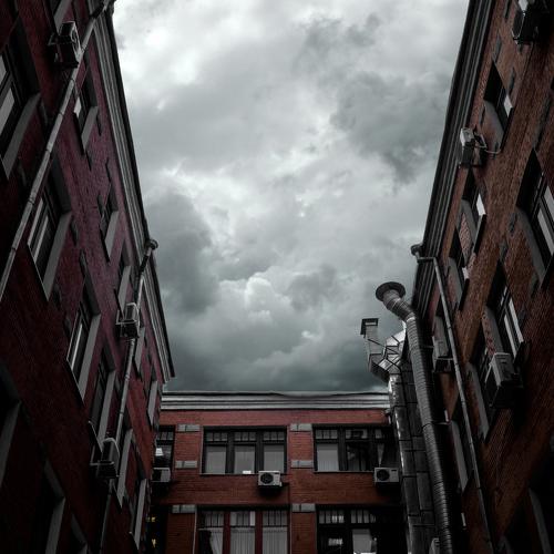 Photo #4665427