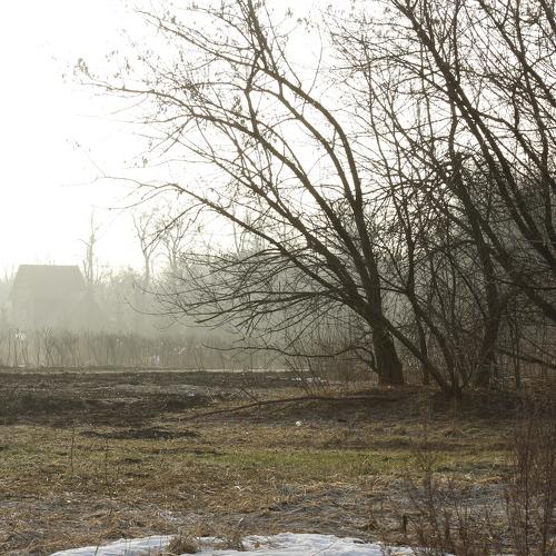 Photo #4665857