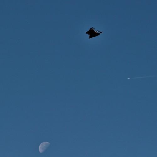 Photo #4666479