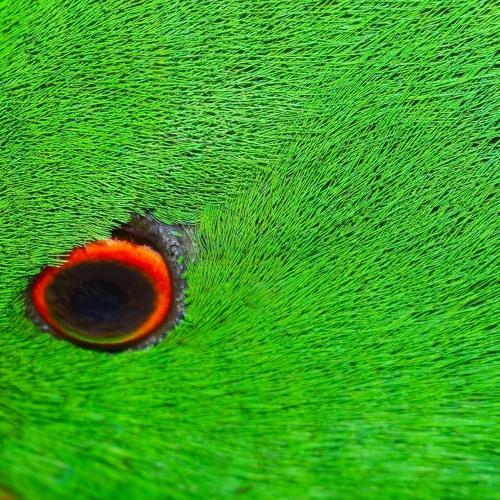 Photo #4666661