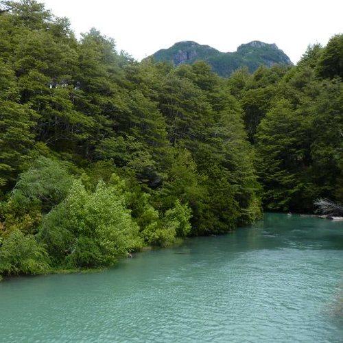 Photo #4666838