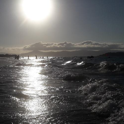 Photo #4666857
