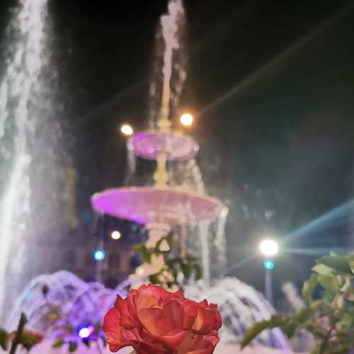 Photo #4666944