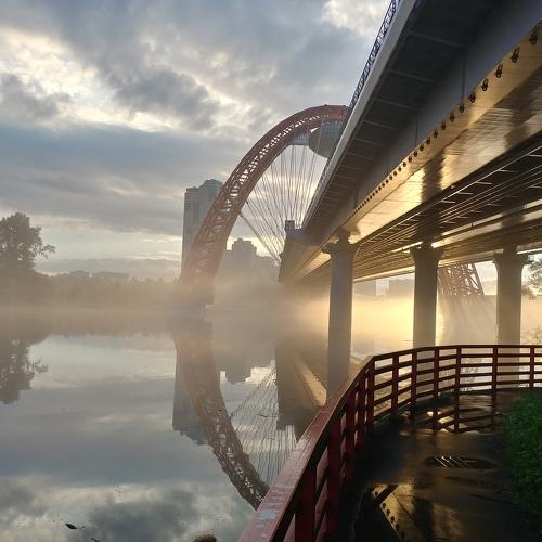 Photo #4666991