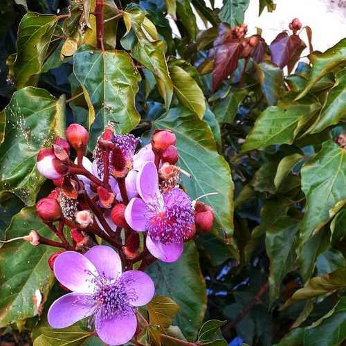 Photo #4667064