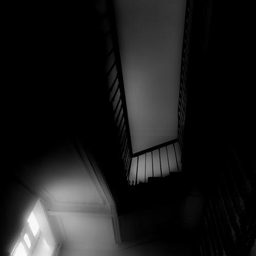 Photo #4667104