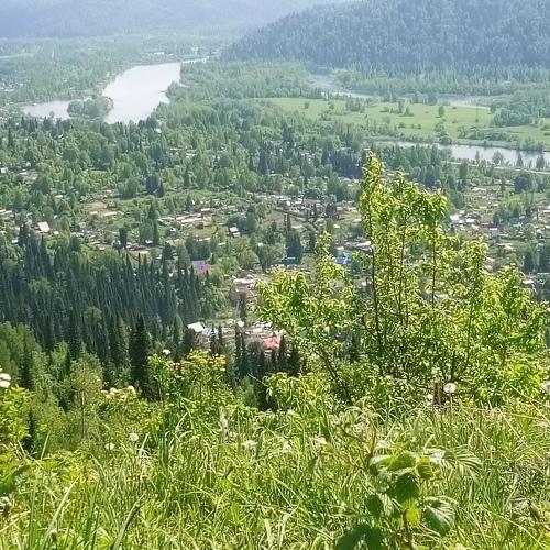 Photo #4667105