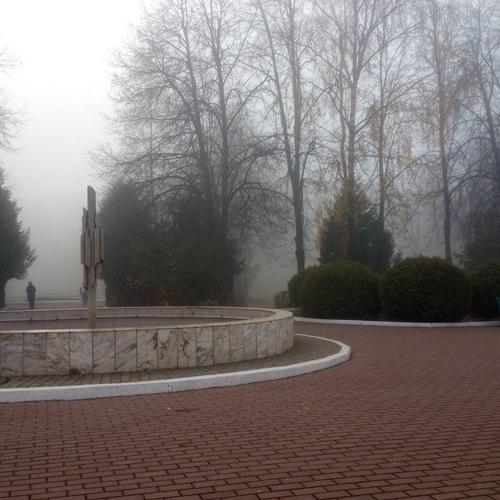 Photo #4667709