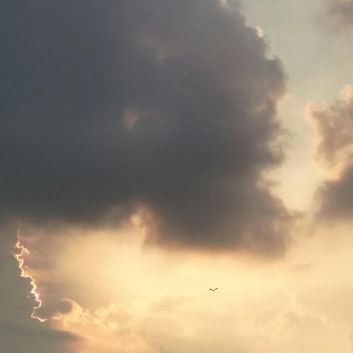 Photo #4667740