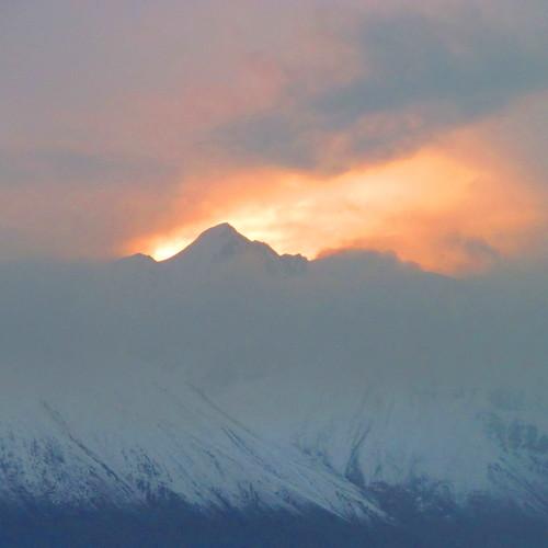 Photo #4667743