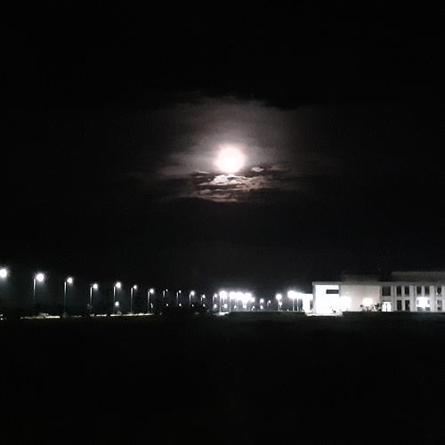Photo #4667957