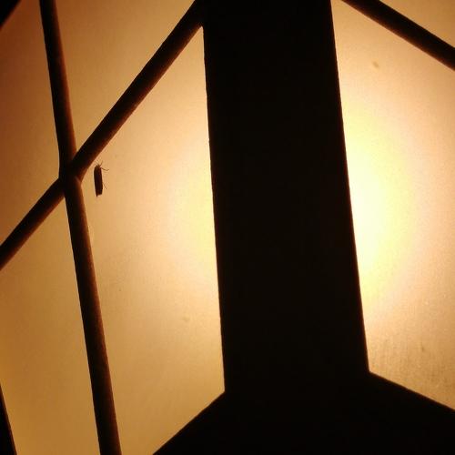 Blinding light