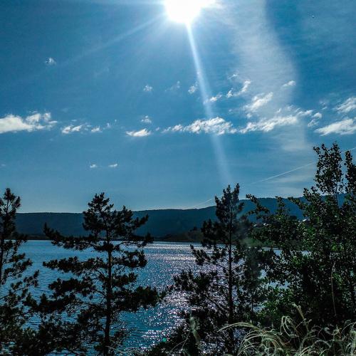 Photo #4668046