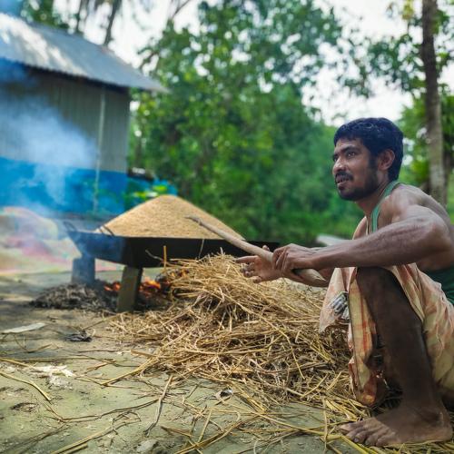 rice boiling