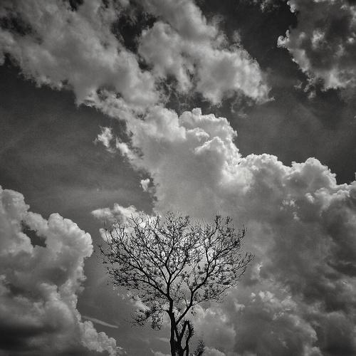 Photo #4668133