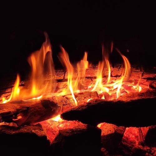 Photo #4668141