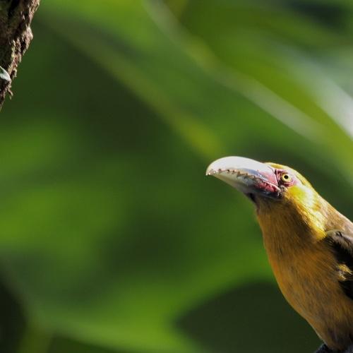 Photo #4668438
