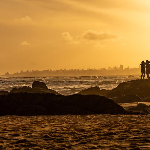 Photo #4668595