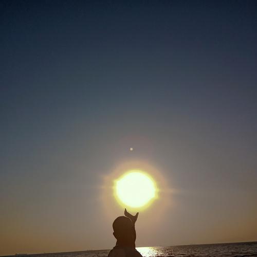 Catch the sun