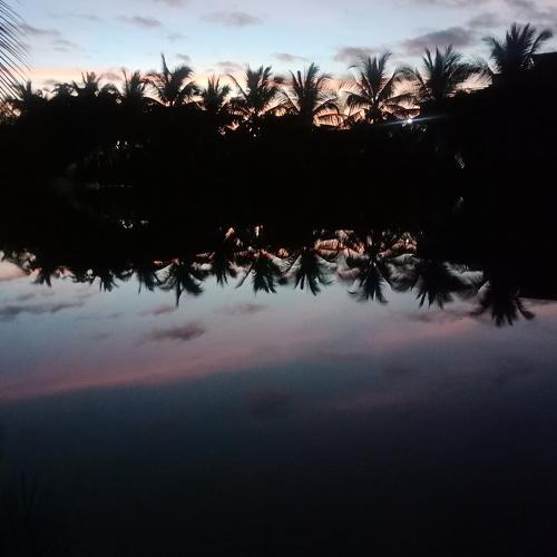 Photo #4669128