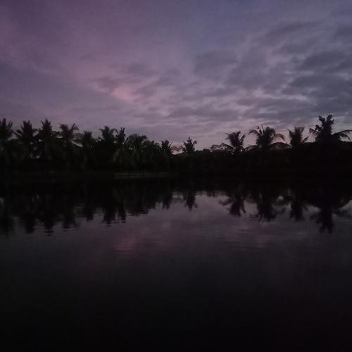 Photo #4669129