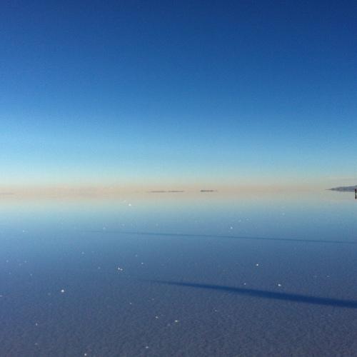 Photo #4669267