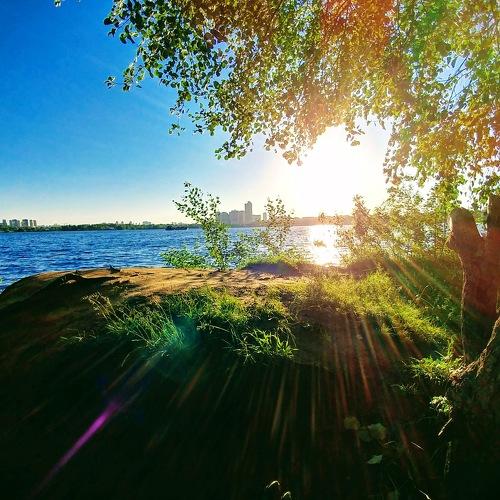Photo #4669329