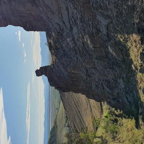Photo #4669570