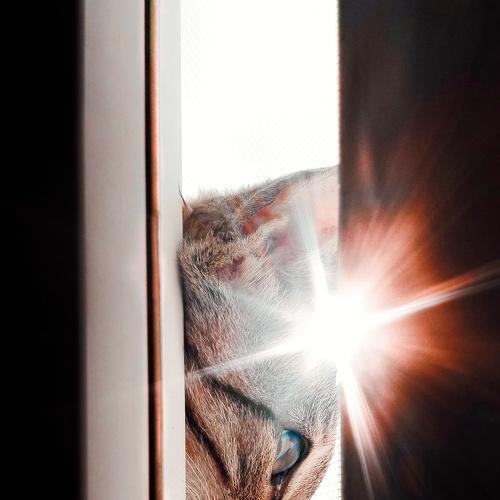 Photo #4669879