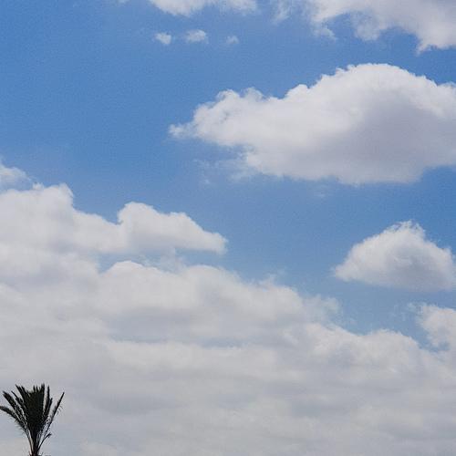 Photo #4670098